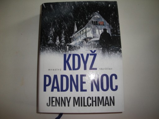 Když padne noc- Jenny Milchman