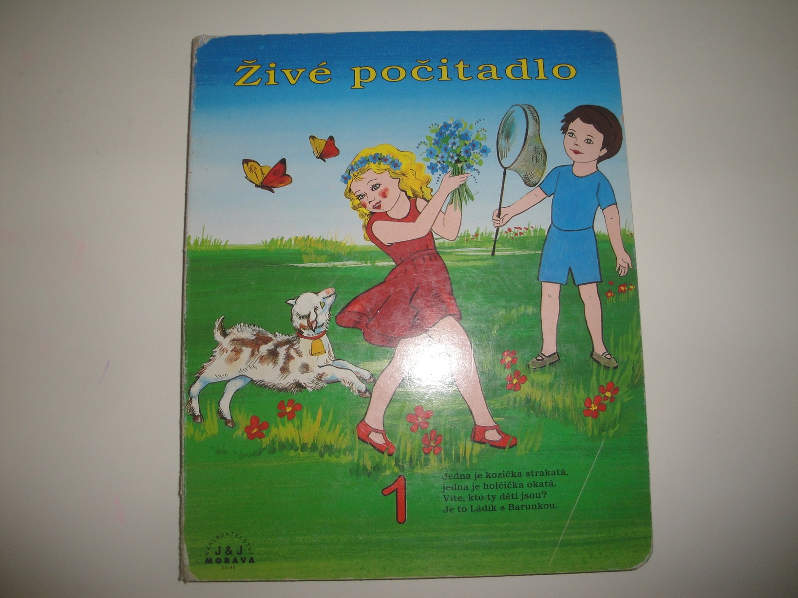 Živé počitadlo