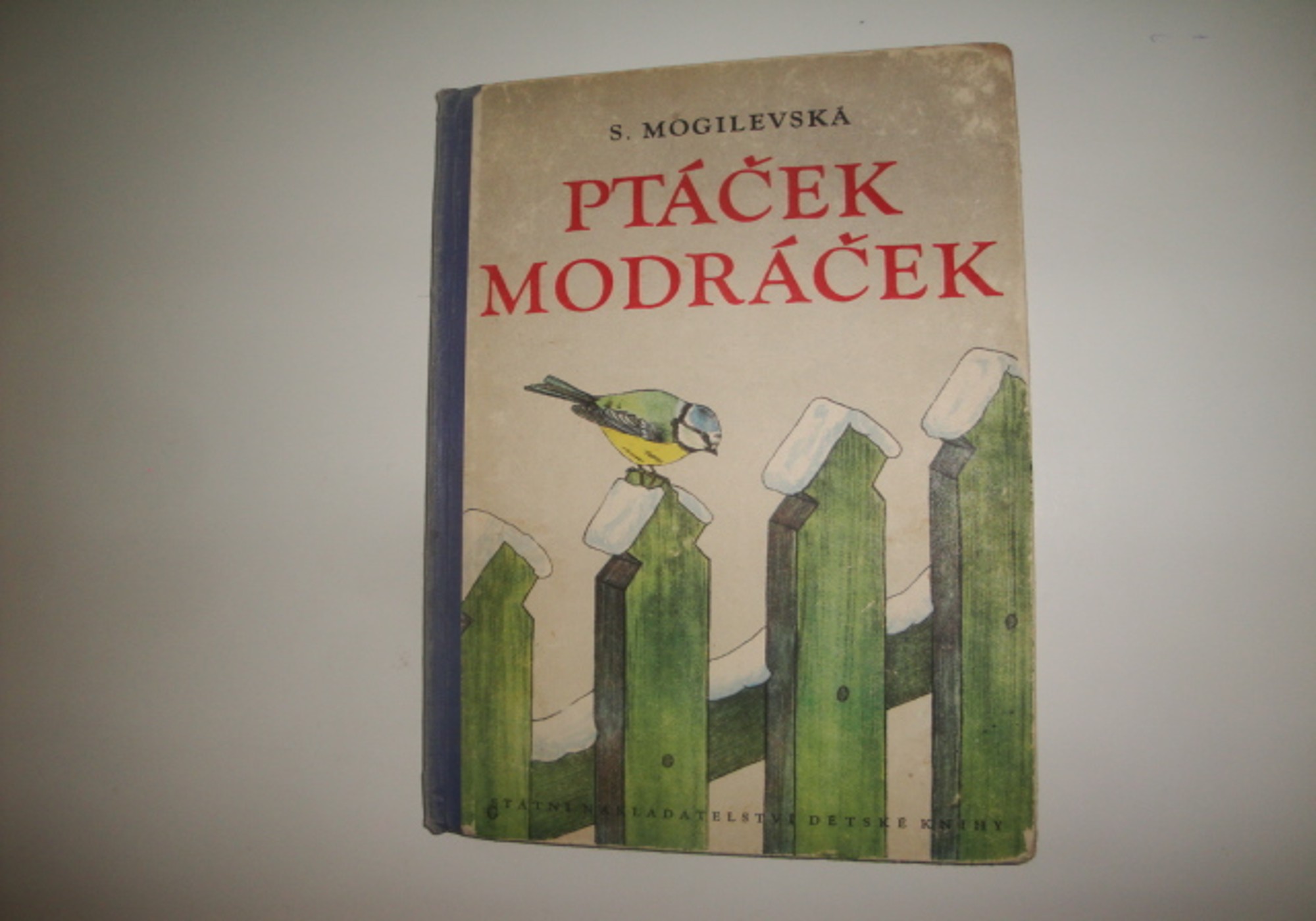 Ptáček Modráček-S.Mogilevská