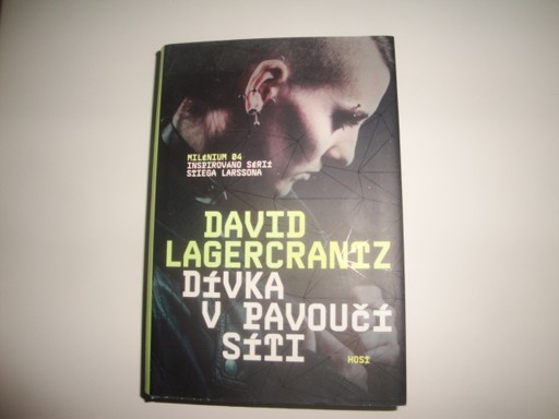 Dívka v pavoučí síti-David Lagercrantz