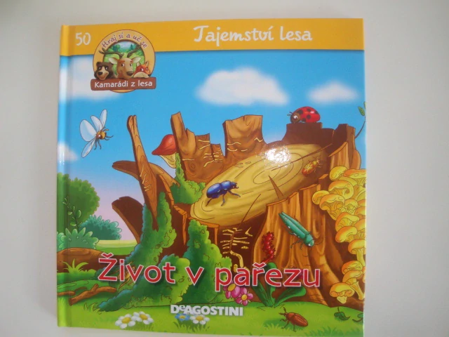 Život v pařezu