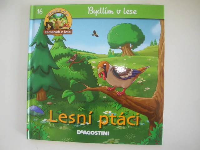 Lesní ptáci