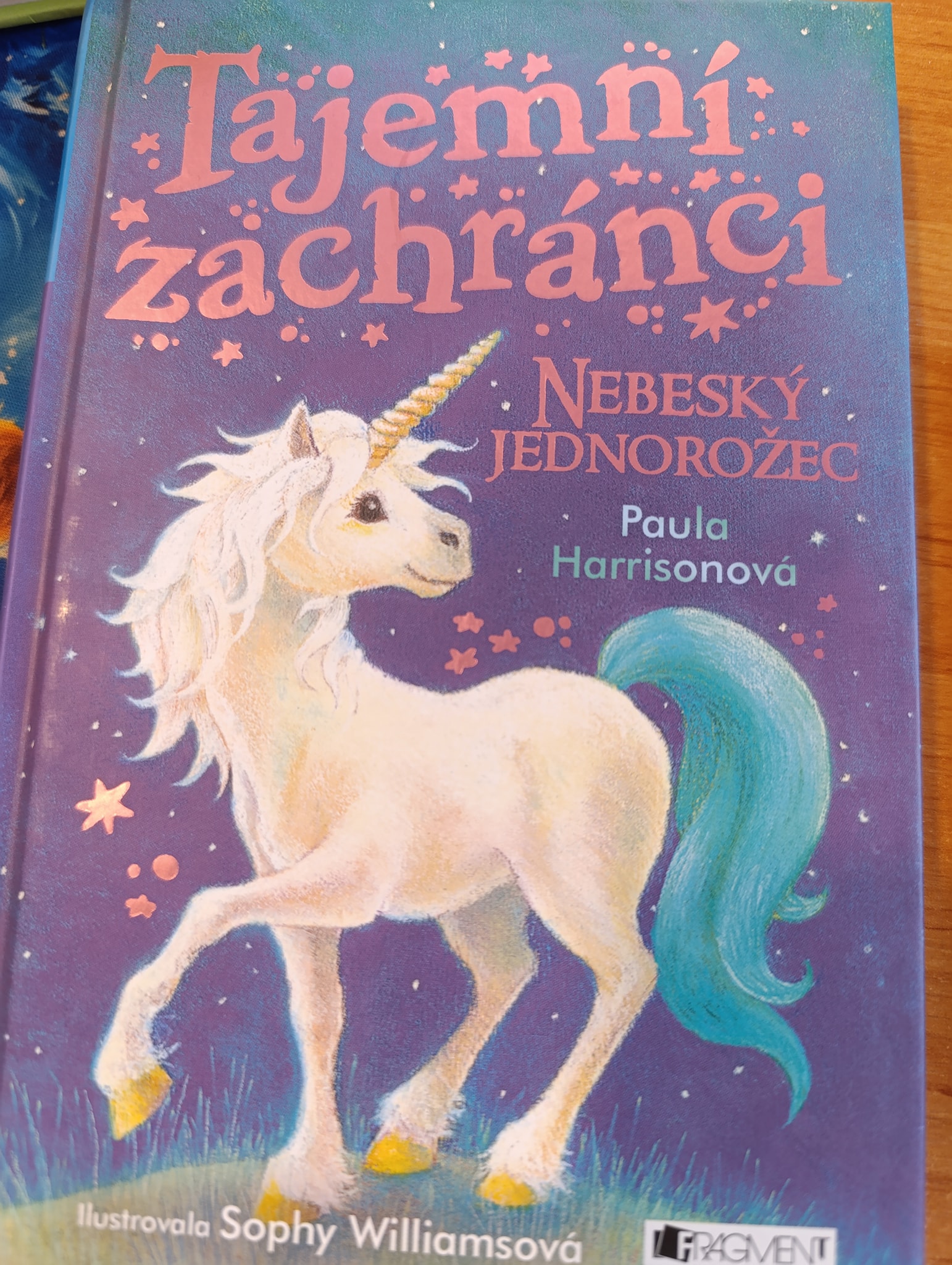 Tajemní zachránci