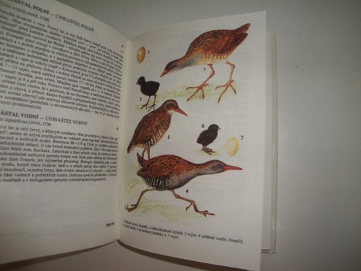 Kapesní atlas chráněných a ohrožených živočichů