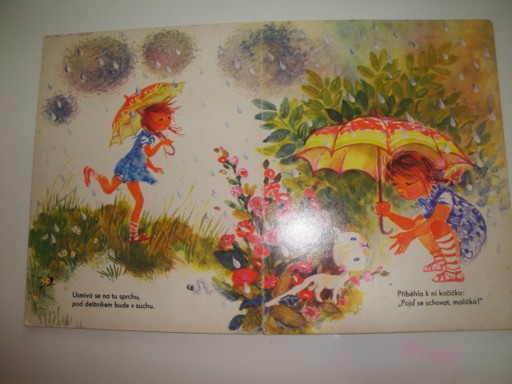 Kačenka v dešti-Marta Chmelová, D.Elnser