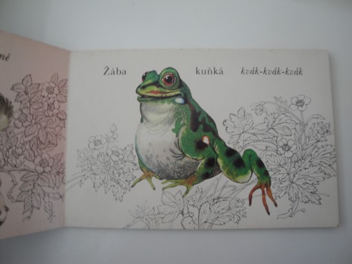 Mezi zvířátky 