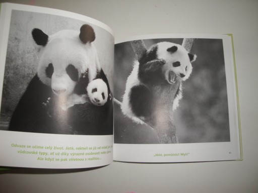 Špetku odvahy!-Bradley Trevor Greive 