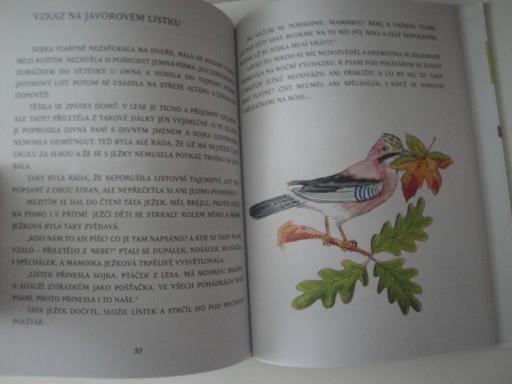 Ježeček Dupálek- Eva Bešťáková 