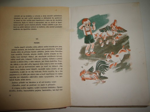 Dům na slunci-Anna Sokolová-Podpěrová 