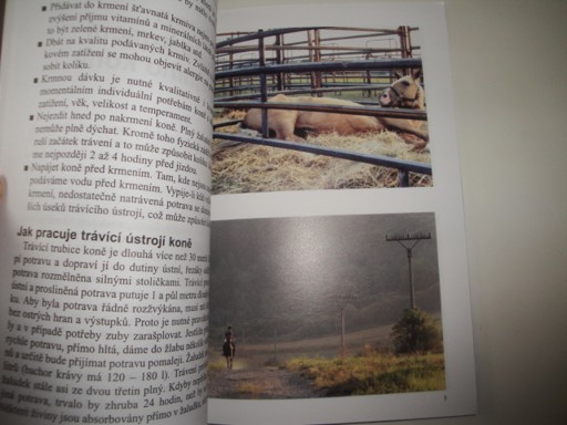 Endurance -Sport bez hranic-M.Burdová 