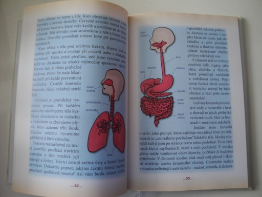 Anička z 2.B. Pidimráz Pidonius