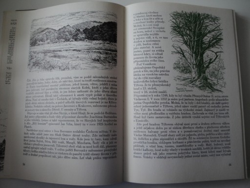 Hájemství zelené - Viktor Palivec 