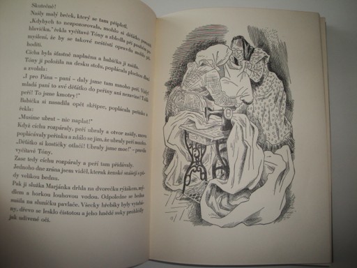 Narodil se-Jaromír John