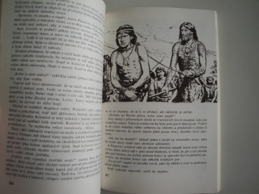 Mamuti táhnou do bažin-B.Fiala 