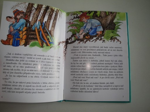 Kouzelné pohádky - malá kniha velkých pohádek 