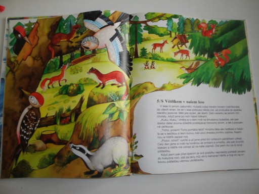 Putování s větříkem-V.Šťovíček 