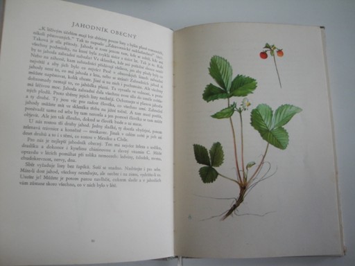 Sbíráme léčivé rostliny-J.Petrbok, O.Ušák 