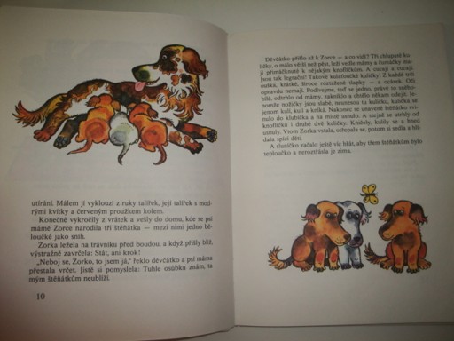 O dvou kamarádech Harýkovi a Billovi-Rudo Moric 