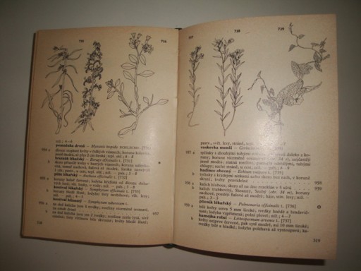 Botanický klíč-klíč k určování 1000 nejdůležitějším cévnatých rostlin 