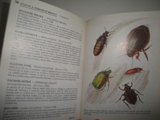 Chránění a ohrožení živočichové-kapesní atlas 