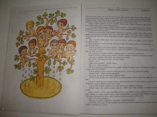 Kocour se svícnem-Zuzana Nováková 