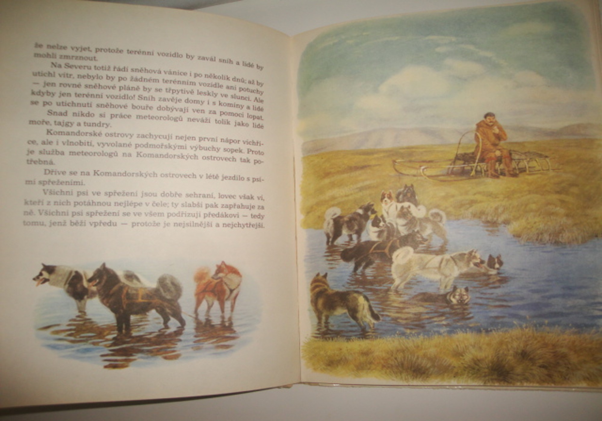 Z dalekých krajů-Gennadij Sněginjev