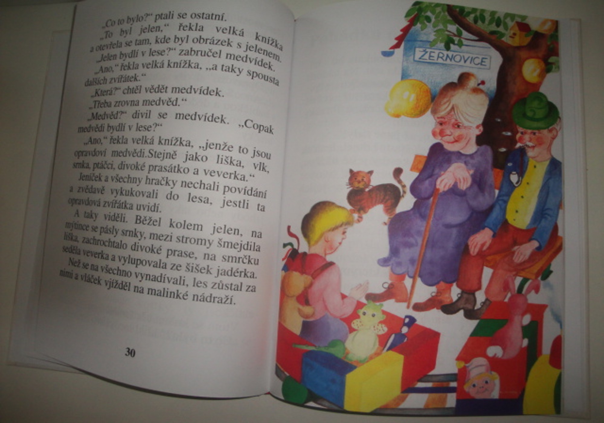 Pohádka o červené kostce-Eva Bulatová 