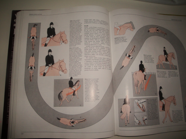 Koně-Velká kniha o chovu a výcviku koní 