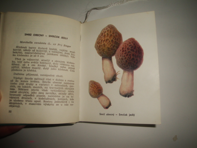 Houby v přírodě a v kuchyni-M.Smotlacha, J. Novák 