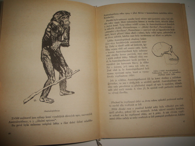 Vznik a vývoj člověka-M.S.Pliseckij 