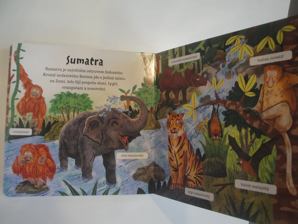 Džungle - svět kolem nás 