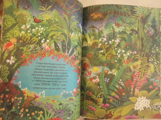 Tajemství džungle - hledání zvířátek 