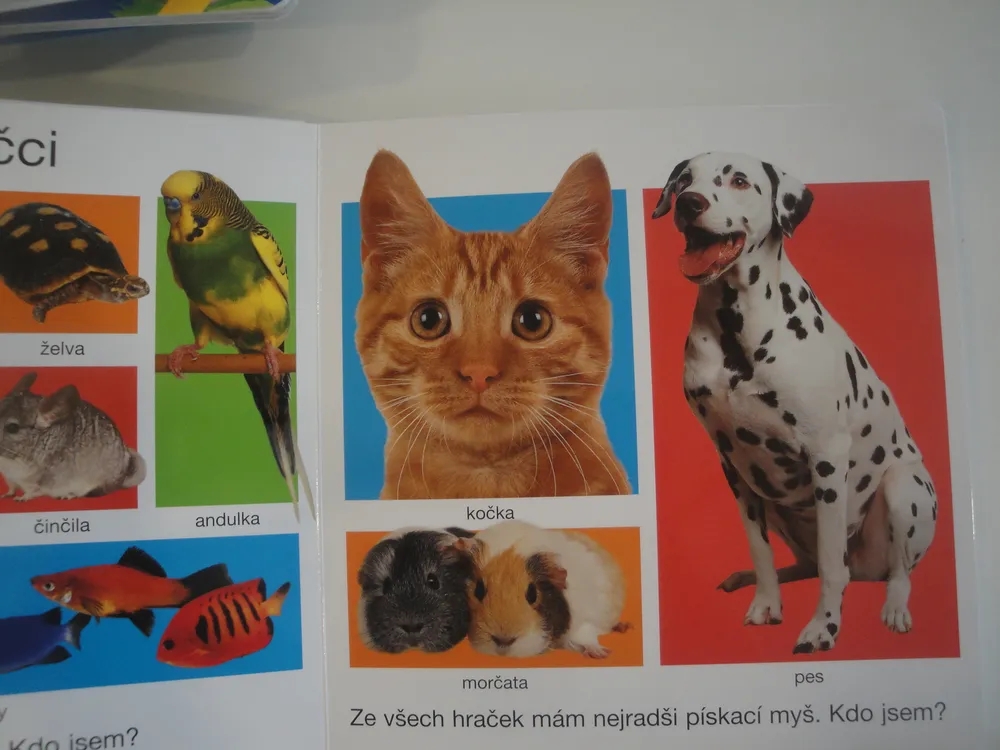 Velké leporelo zvířat 
