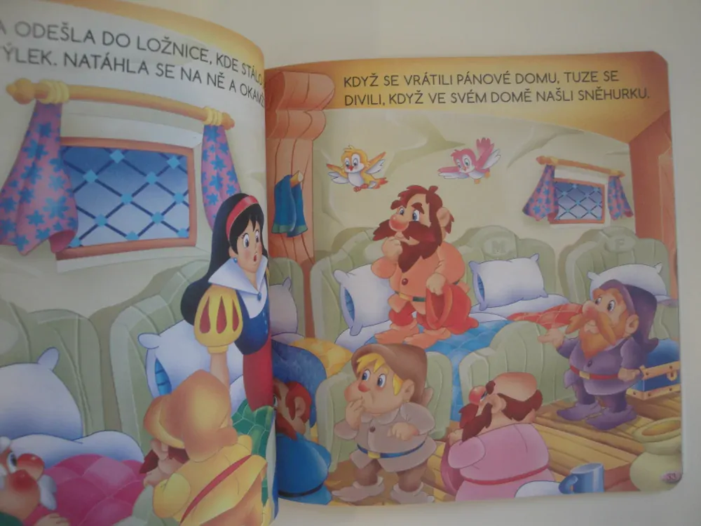 Popelka a jiné pohádky o princeznách