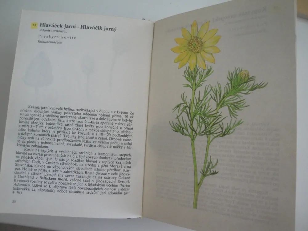 Kapesní atlas rostlin -A.Pilát, O.Ušák 