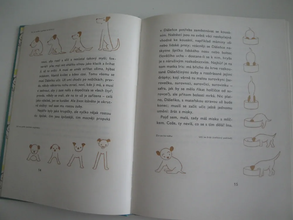 Dášeňka čili život štěněte-K.Čapek 