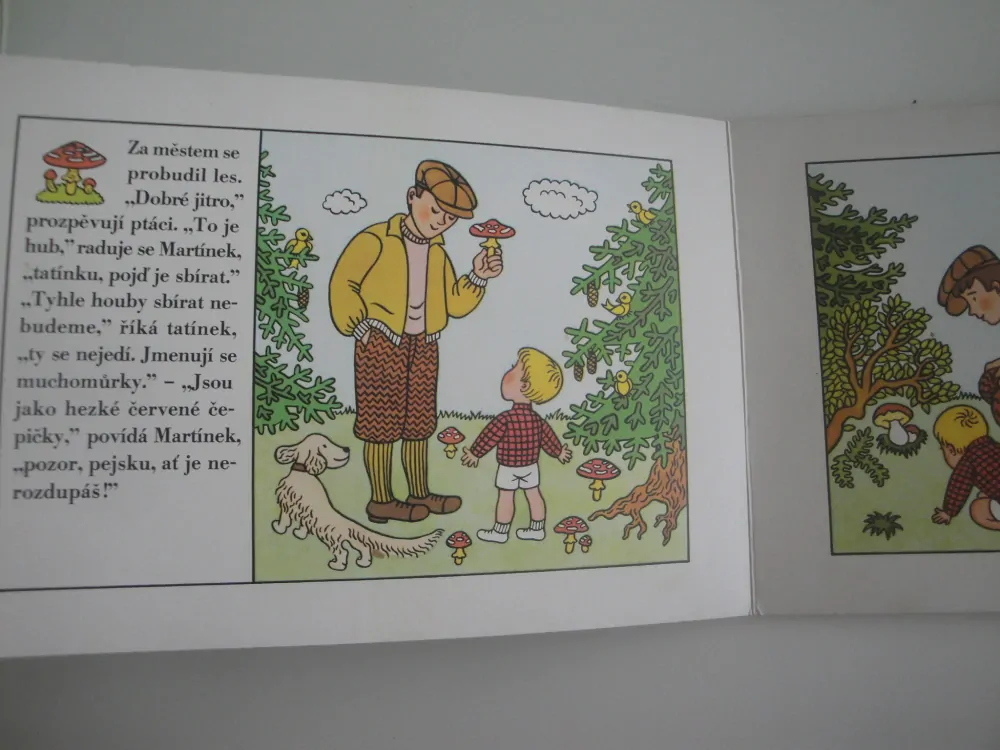 Kam se schoval nůž-Eduard Petiška, Helena Zmatlíková 