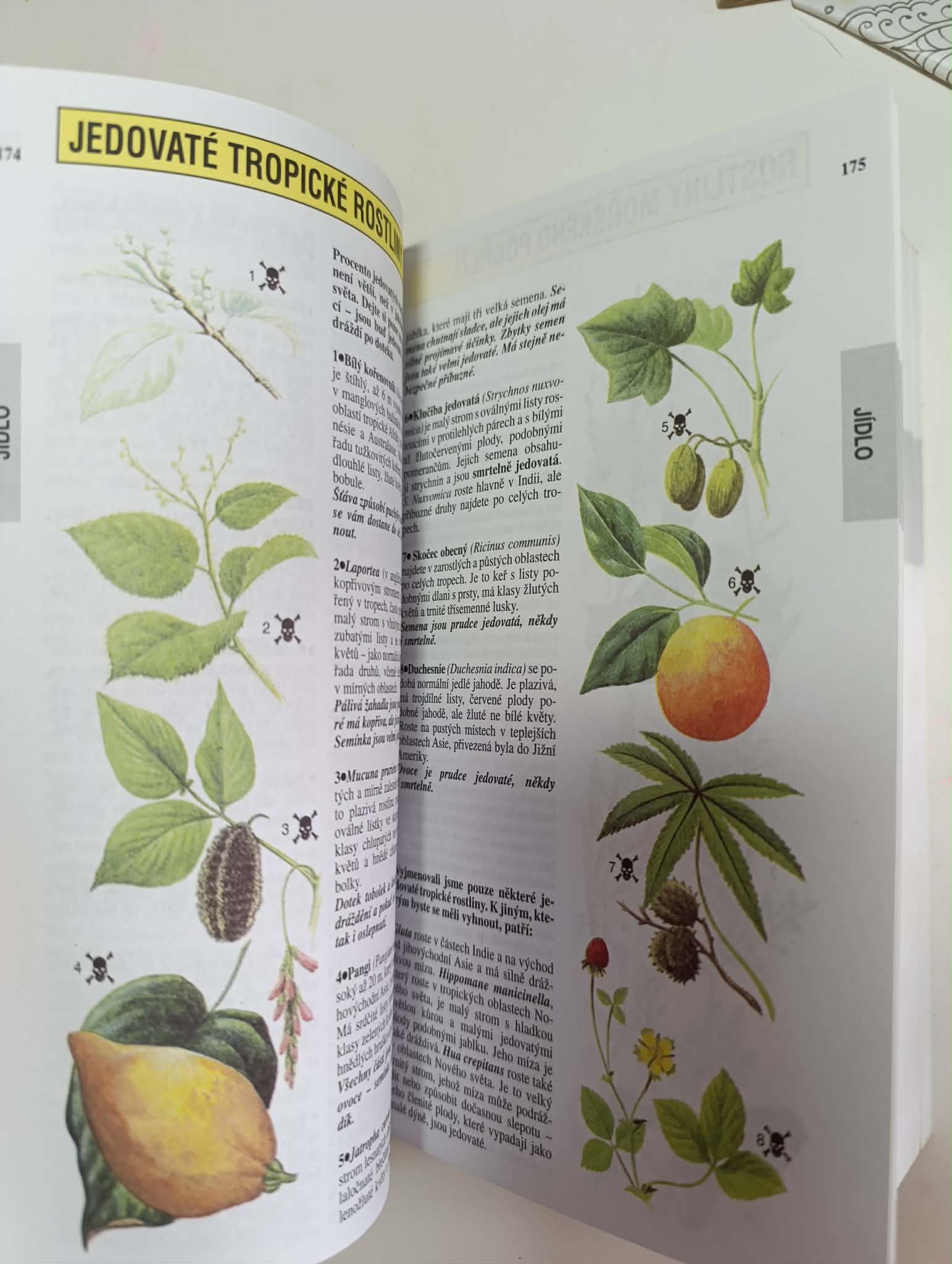 SAS příručka jak přežít-John Wiseman