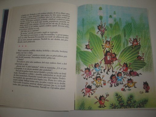 Pavouček Provazníček-Inka Ciprová