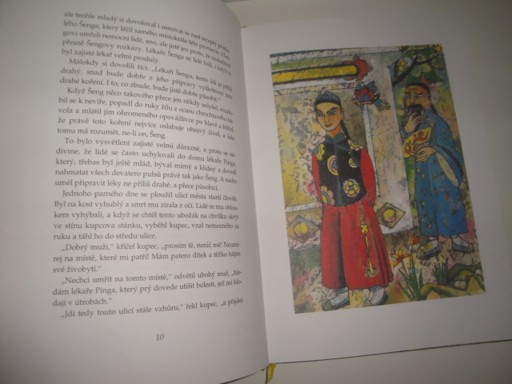 O lékaři Pingovi a jeho svízelné cestě za spravedlností-Bohumil Říha