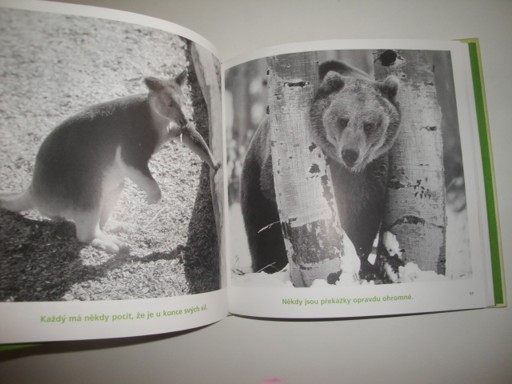 Špetku odvahy!-Bradley Trevor Greive 