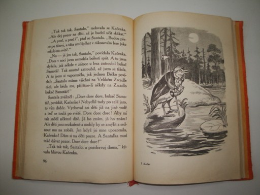 Kačer Brčko a jeho přátelé 