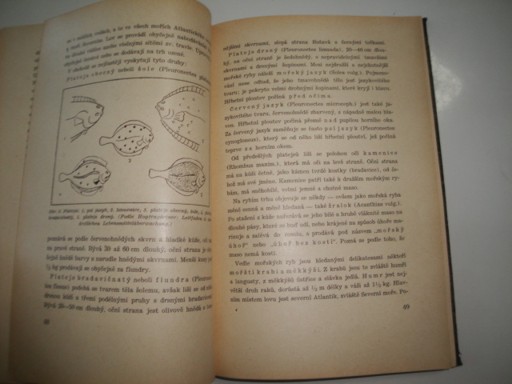 Potraviny a pochutiny- H.Zálešák