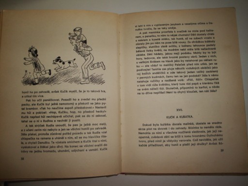 Dům na slunci-Anna Sokolová-Podpěrová 