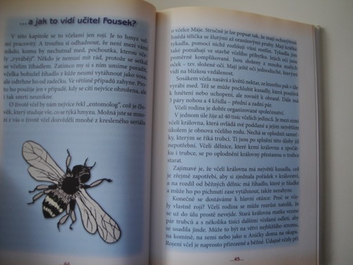 Anička z 2.B. Pidimráz Pidonius