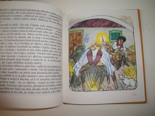 Nebojsa-Václav Říha 