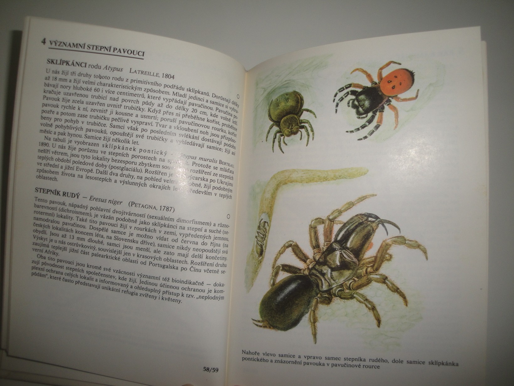 Chránění a ohrožení živočichové-kapesní atlas 