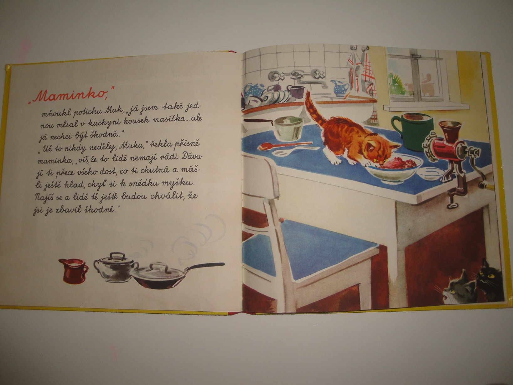 Malí šibalové - veselé vyprávění o koťátkách