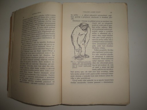 Dějiny člověka-Grafton Elliot Smith