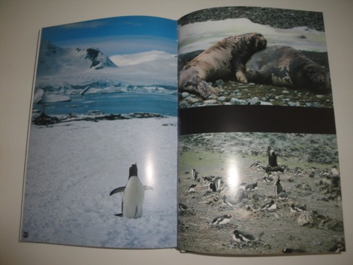 7 světadílů 6 smysly-Libor Mařík